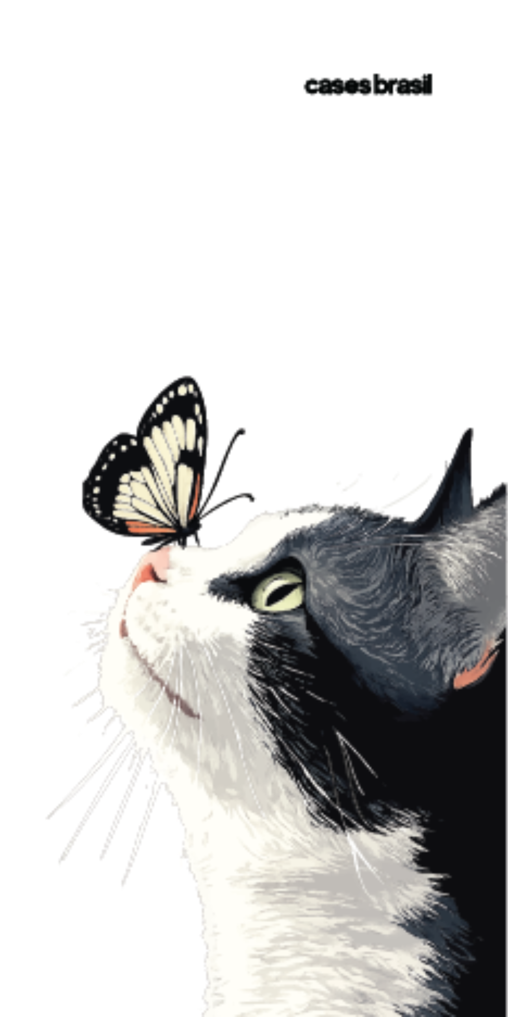 Gato e Borboleta