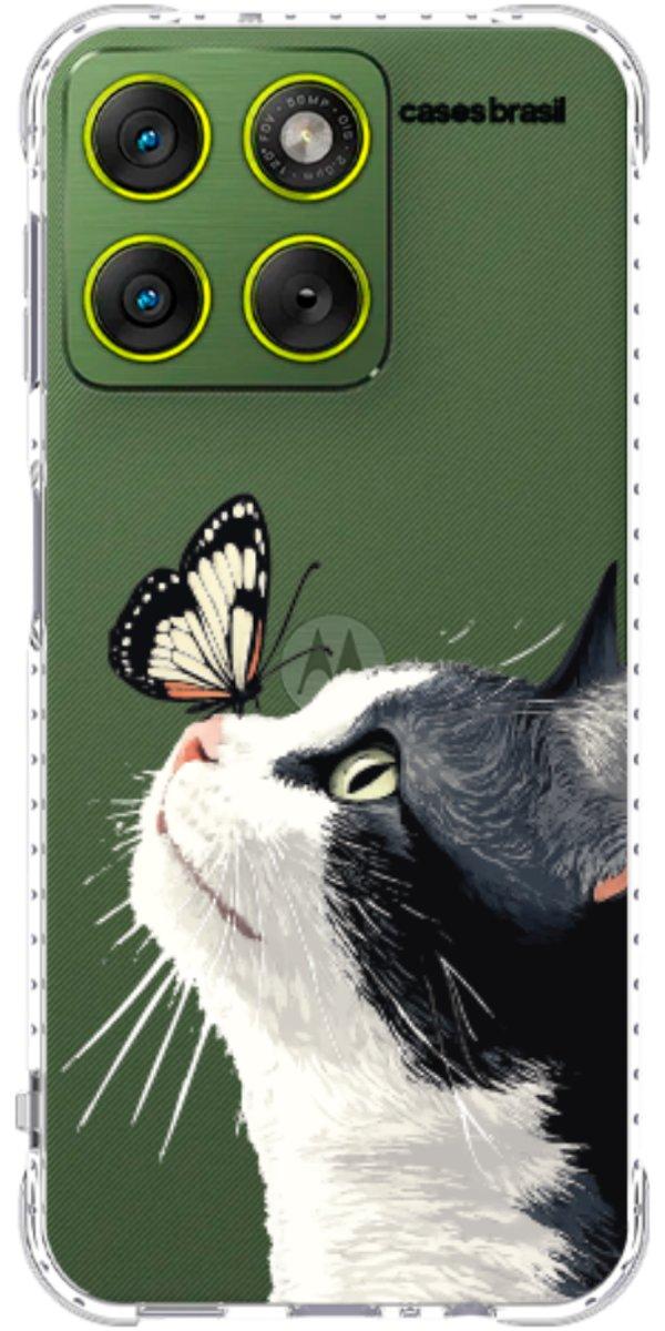 Gato e Borboleta