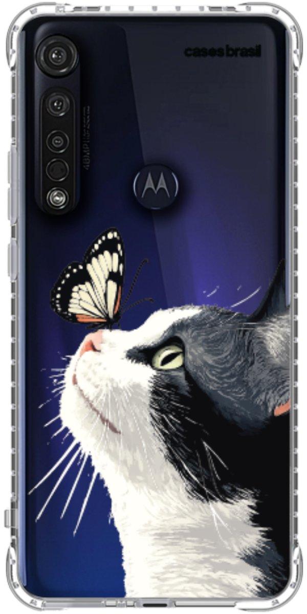 Gato e Borboleta